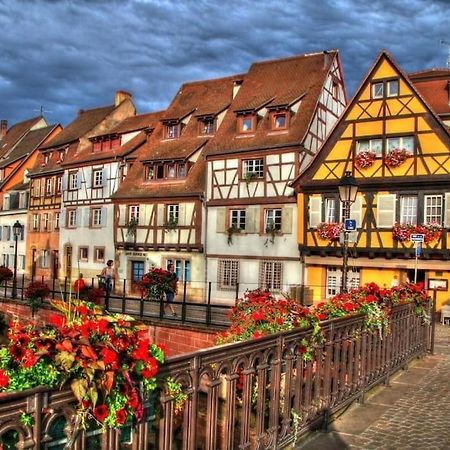 Appartement Climatise 70 M2, Proximite De Colmar Sainte-Croix-en-Plaine Eksteriør bilde