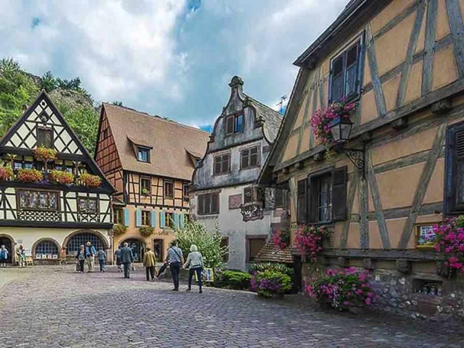 Appartement Climatise 70 M2, Proximite De Colmar Sainte-Croix-en-Plaine Eksteriør bilde