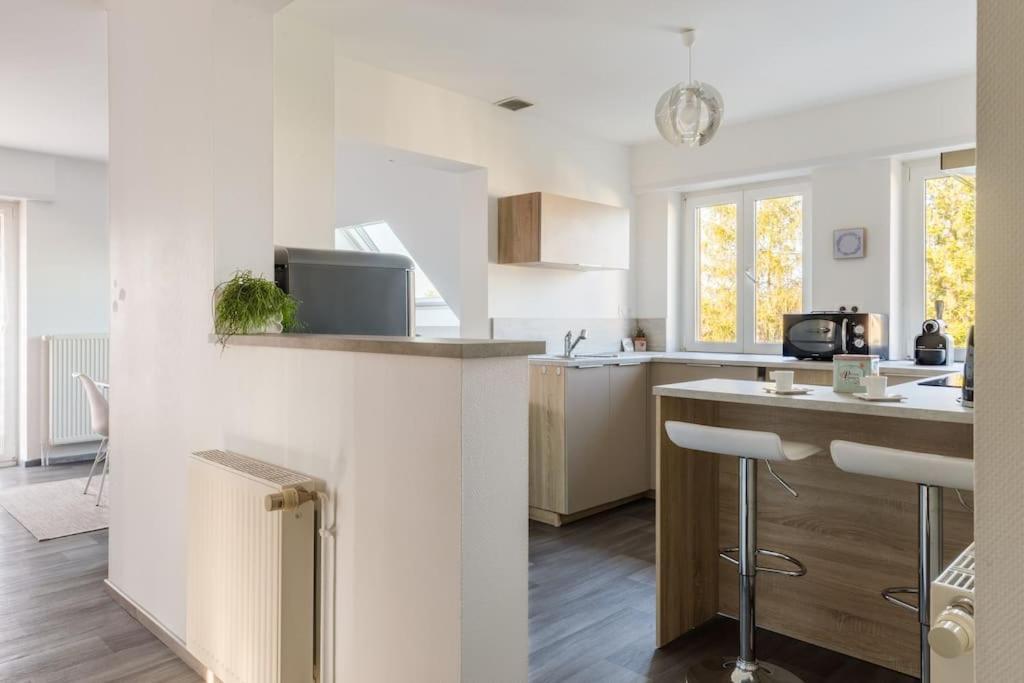 Appartement Climatise 70 M2, Proximite De Colmar Sainte-Croix-en-Plaine Eksteriør bilde