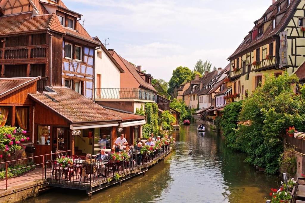 Appartement Climatise 70 M2, Proximite De Colmar Sainte-Croix-en-Plaine Eksteriør bilde