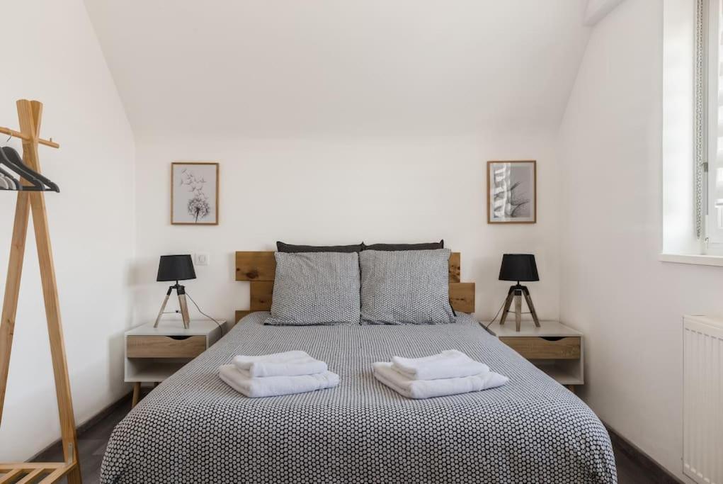 Appartement Climatise 70 M2, Proximite De Colmar Sainte-Croix-en-Plaine Eksteriør bilde