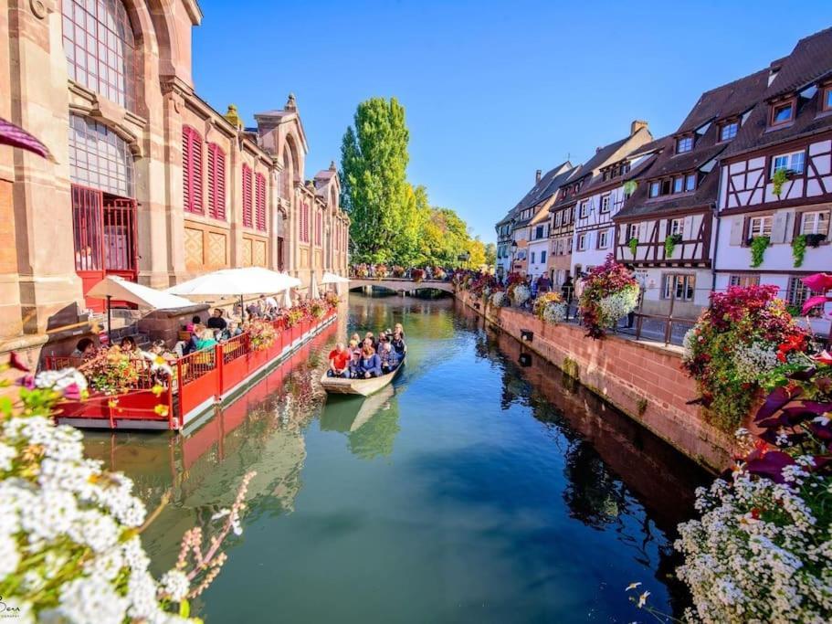 Appartement Climatise 70 M2, Proximite De Colmar Sainte-Croix-en-Plaine Eksteriør bilde