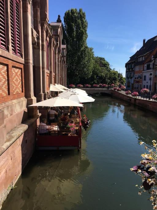 Appartement Climatise 70 M2, Proximite De Colmar Sainte-Croix-en-Plaine Eksteriør bilde